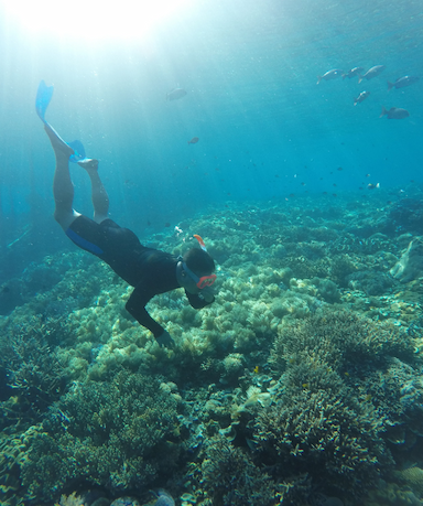 Snorkeling Wayag 1 / Wayag 2