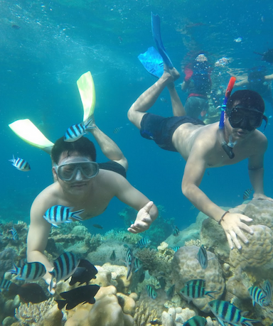 Snorkeling di spot terumbu karang Menjangan Kecil