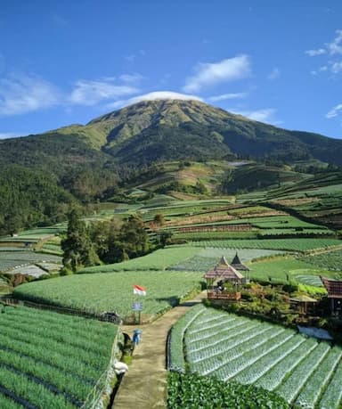 Negeri Sayur Sukomakmur