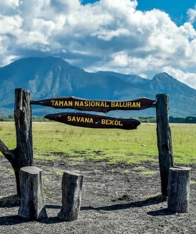 Savana Bekol Baluran