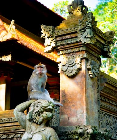 Monkey Forest