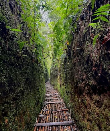 Start Trekking Via Base Camp Gunung Putri