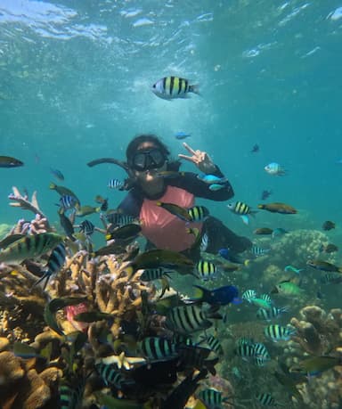 Snorkeling Takak Bintang