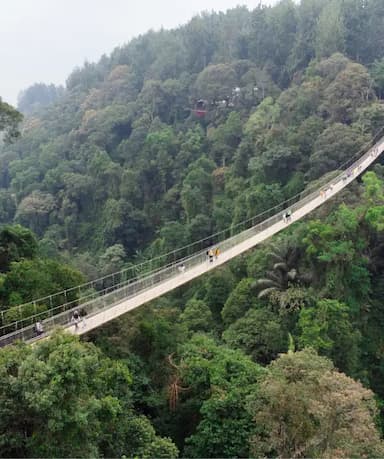 Suspension Bridge Situgunung