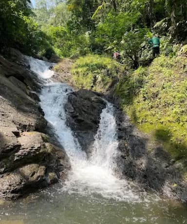 Start Trekking