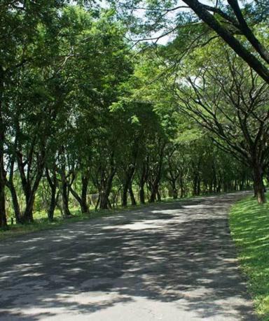 Perjalanan Menuju Kalicaa Beach
