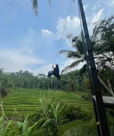 Antapura De Djati