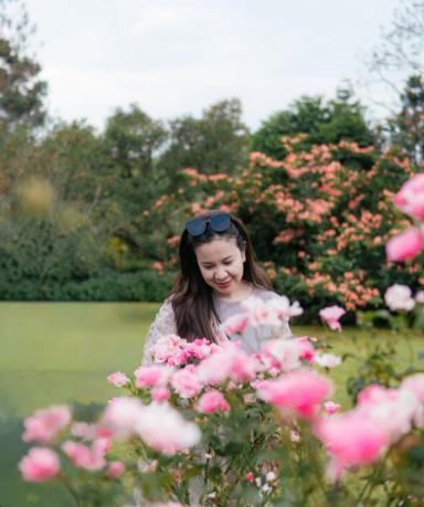 Kebun Mawar Situhapa