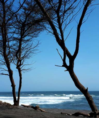Tiba di Pantai Goa Cemara