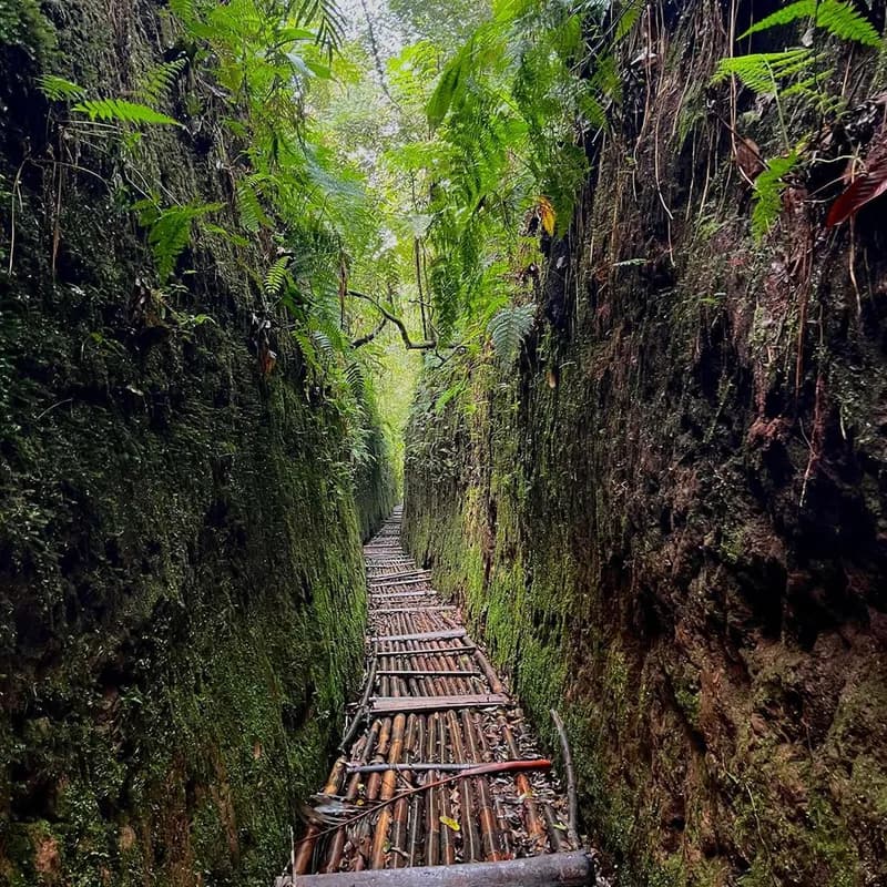 trekking-lorong-lumut