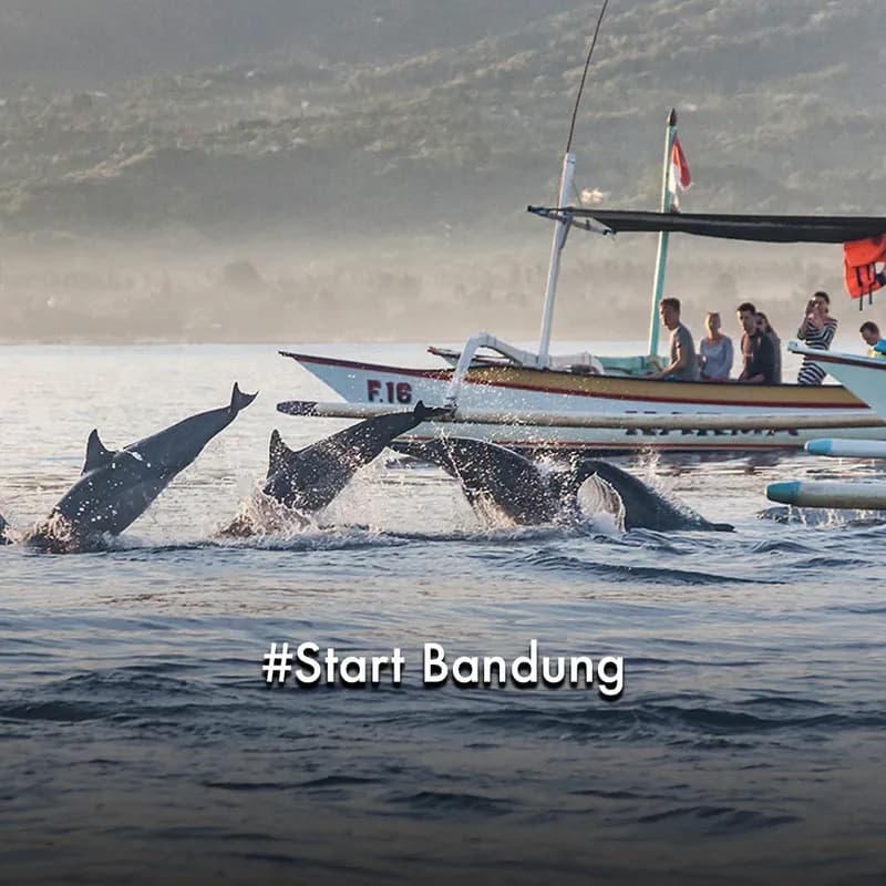 bali-lovina-dolphin-start-bandung