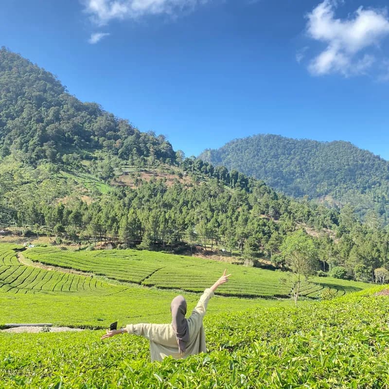 one-day-pangalengan