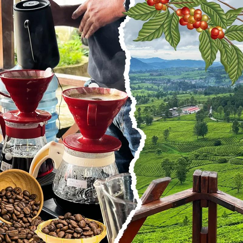 one-day-coffe-trip-pangalengan-wwp