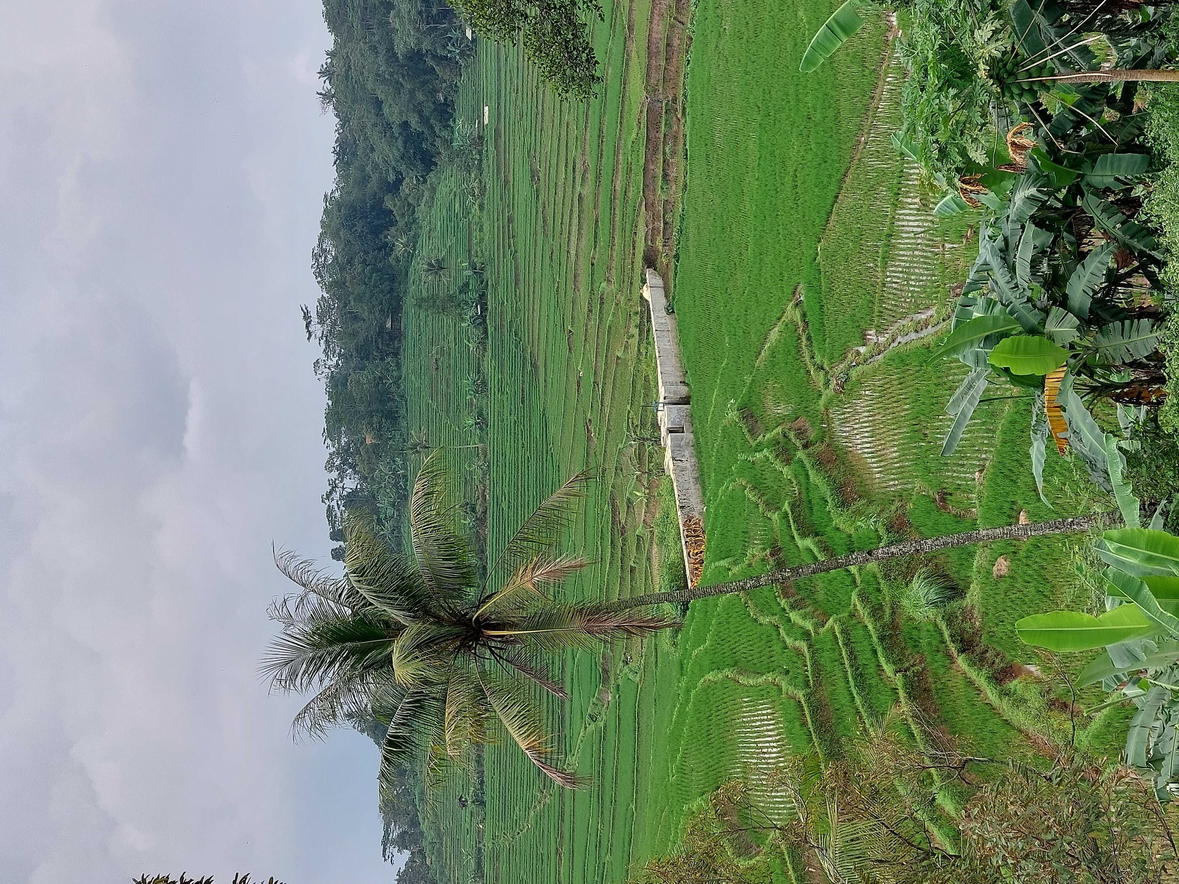review image 2