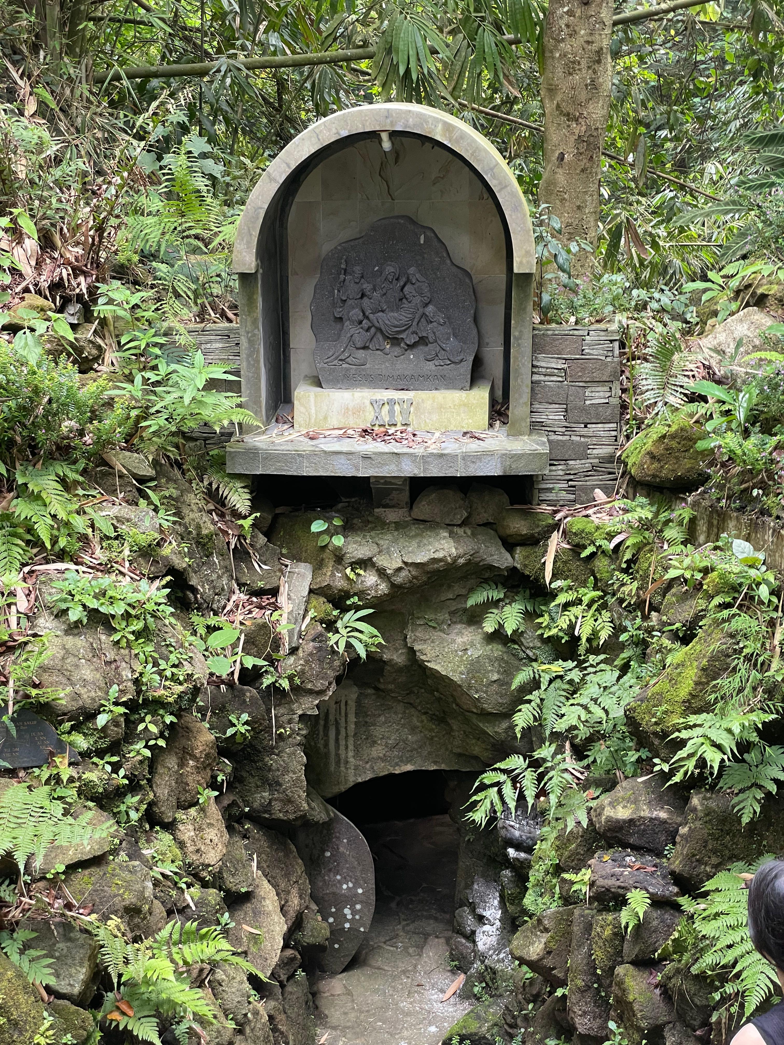review image 1
