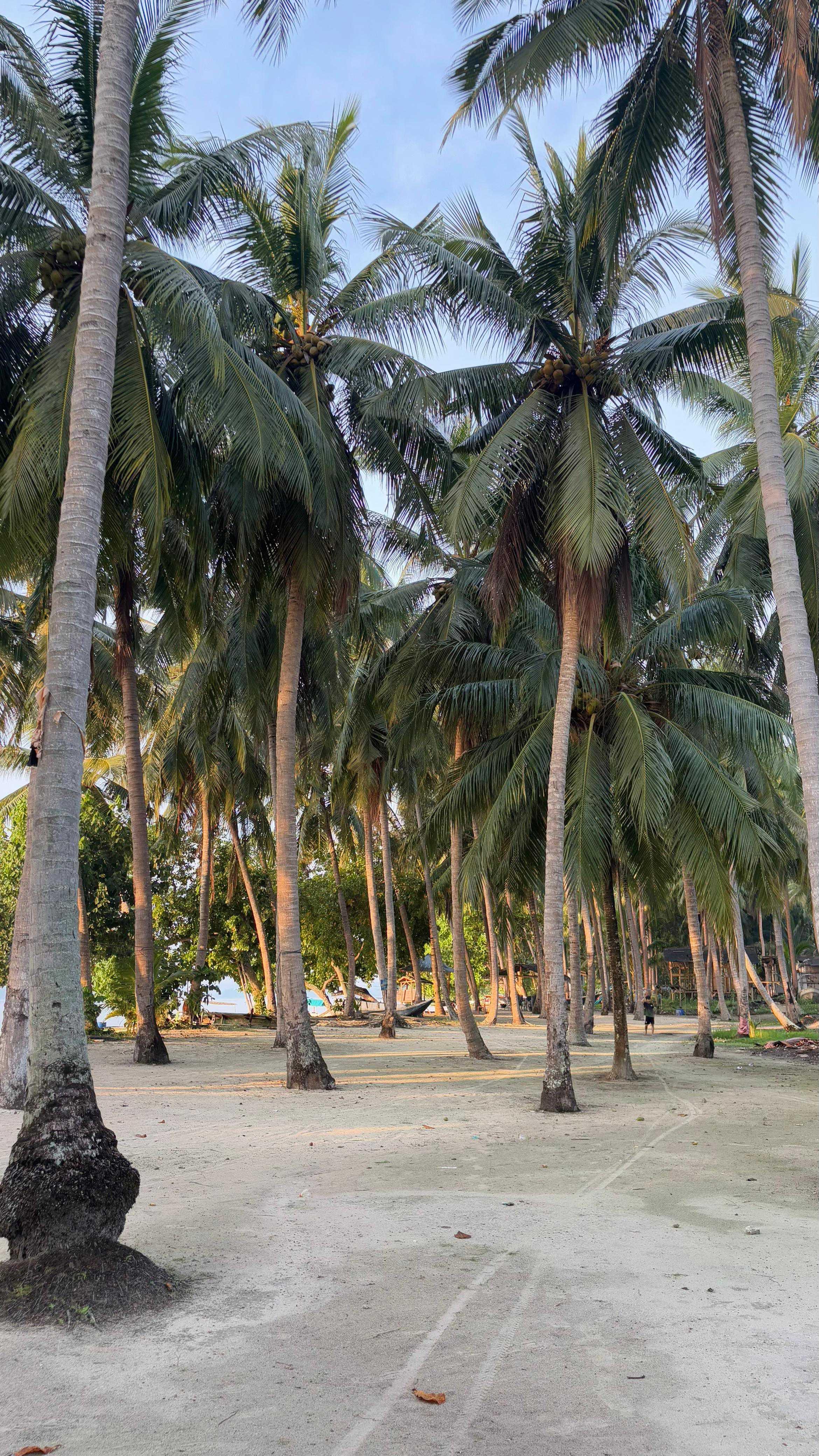review image 1
