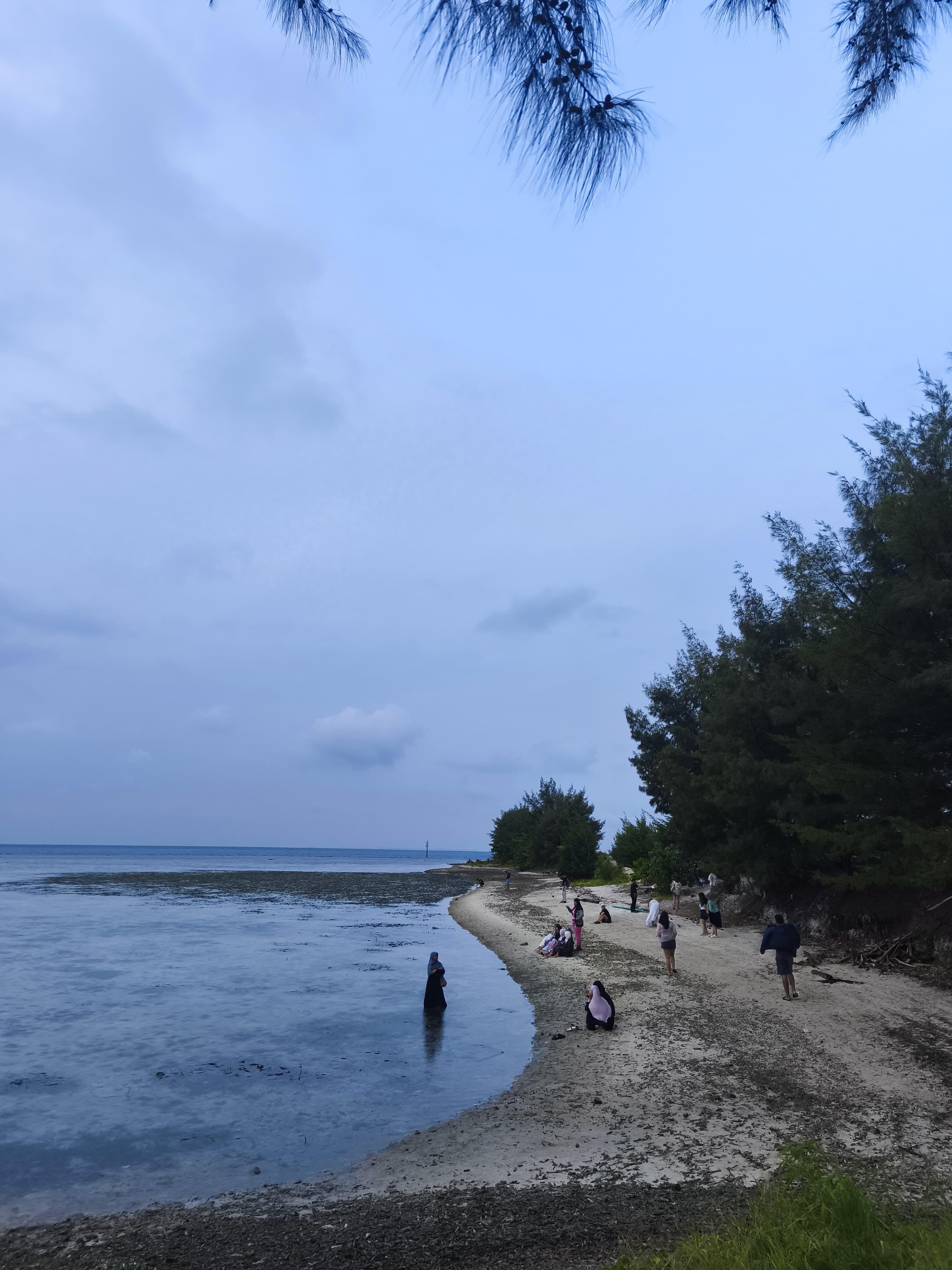 review image 1