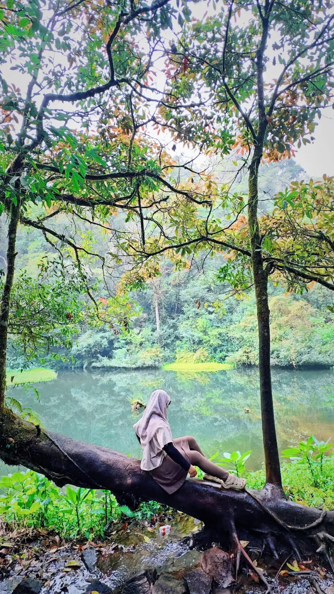 Foto review Trekking Curug Cibeureum 1